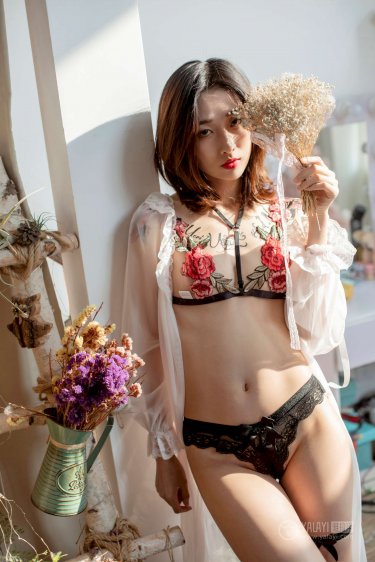 吃肉的兔子HYH