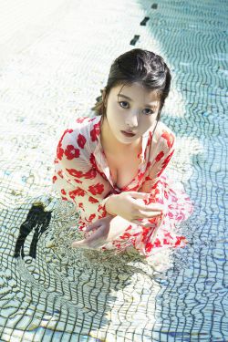 春花焰电视剧免费观看